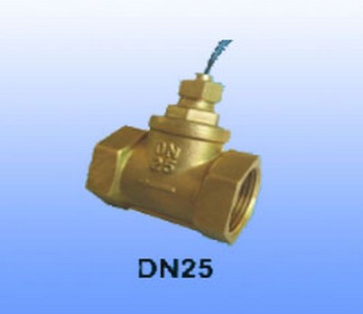 水平安裝水流開關(guān)_可調(diào)式水流開關(guān)DN25